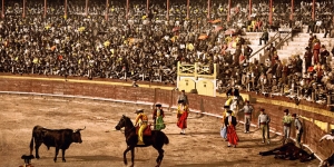 Touradas: prática cultural consciente ou condicionamento social?