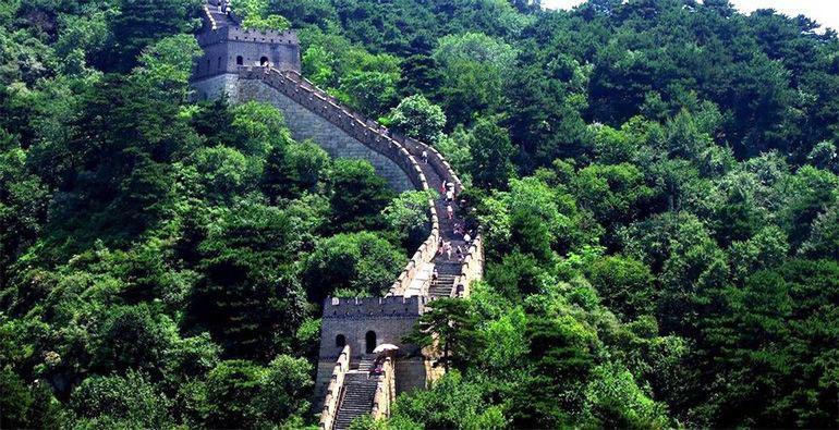 Projeto de reflorestação da China contou com a ajuda de milhares de voluntários