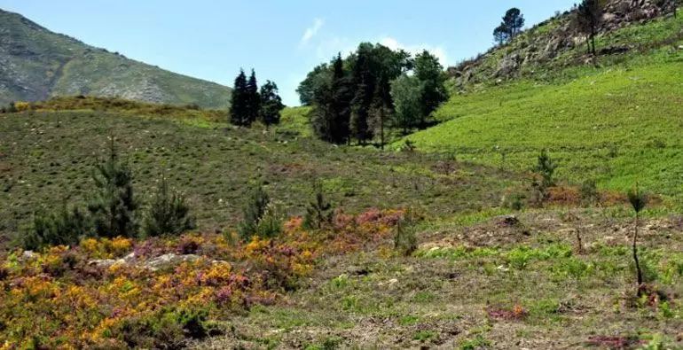 Foto: Arménio Belo