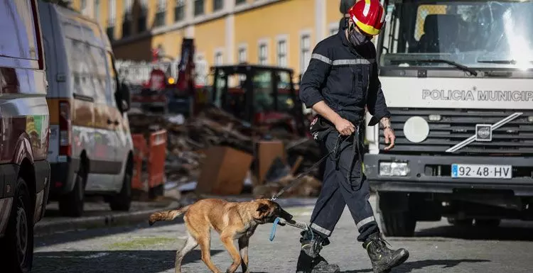 Encontrado corpo de jovem desaparecido