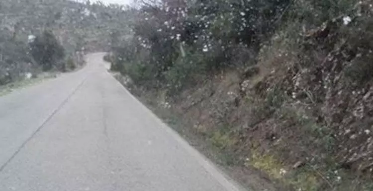 Flocos regressa ao Alentejo